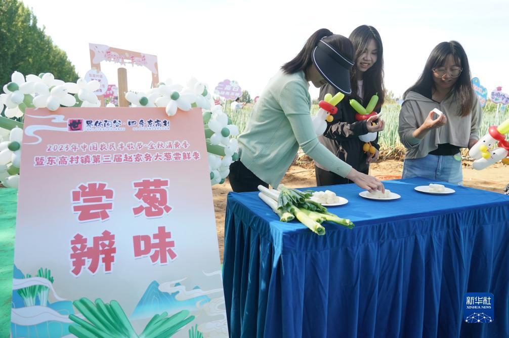 金沙游乐场提款